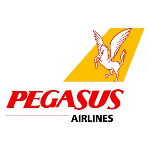 913_pegasus_logo